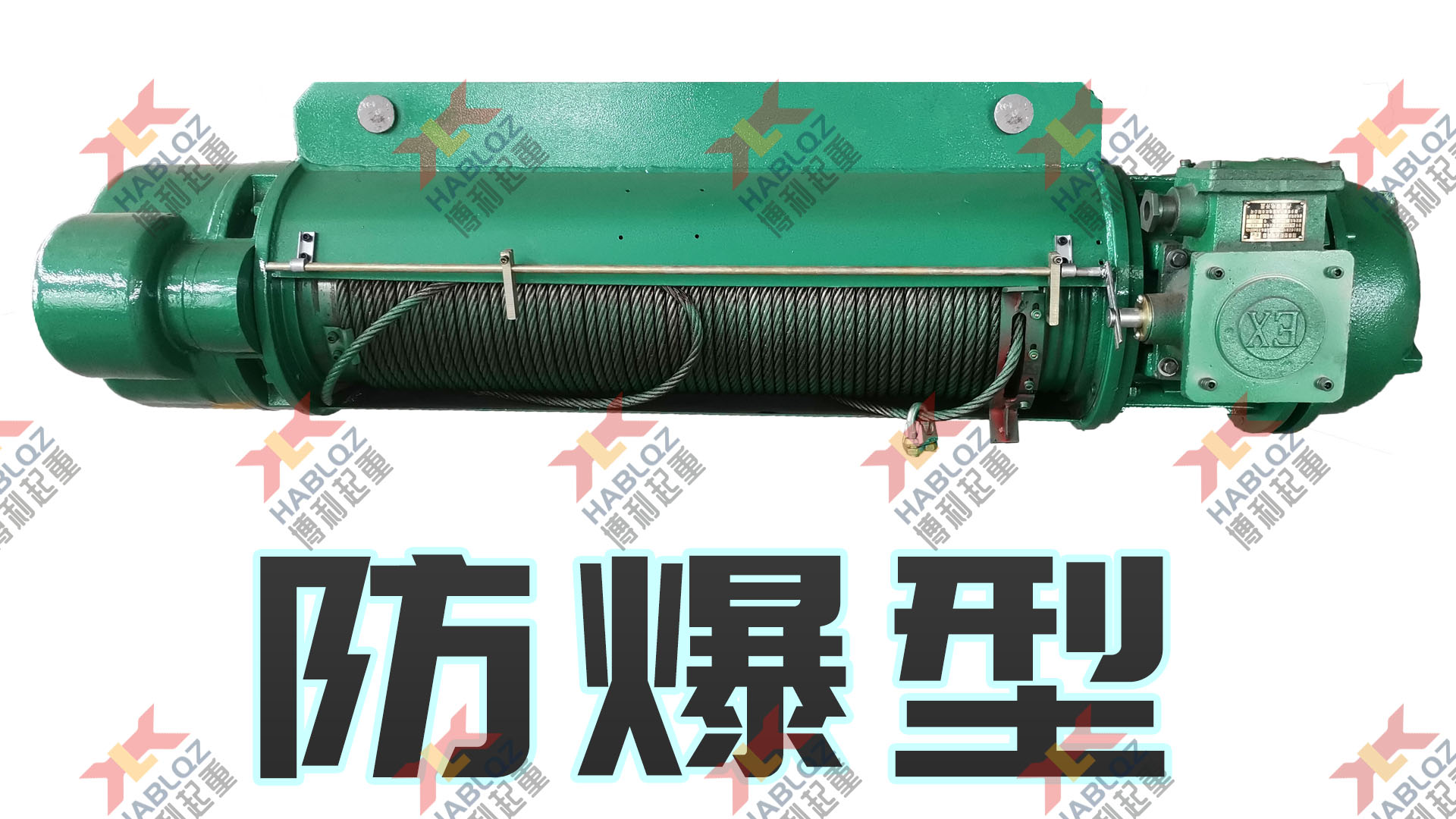 BCD/BMD型防爆电动葫芦